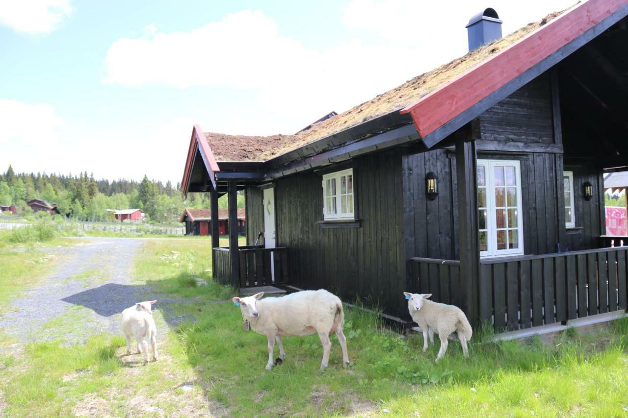 Gamlestolen Fjellstue Villa Etnedal ภายนอก รูปภาพ